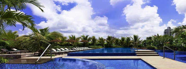 384/The Westin Mumbai Garden City - Mumbai 17.jpg